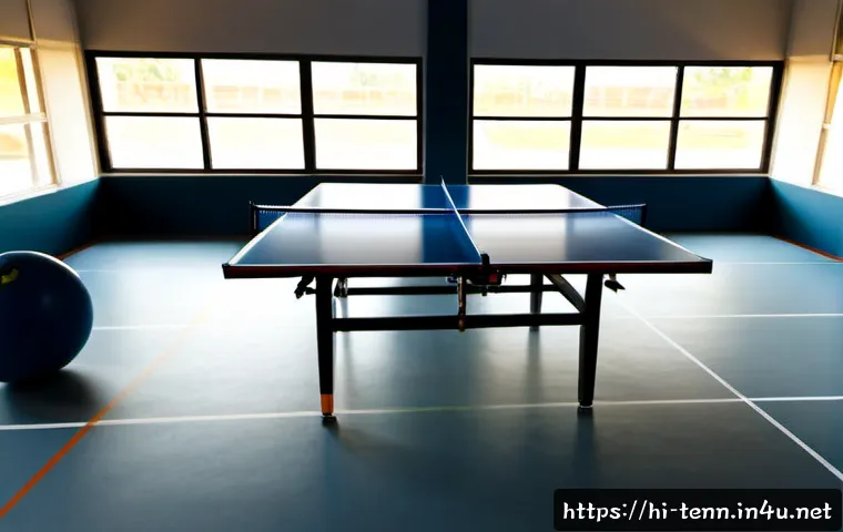 탁구 실력 향상을 위한 연습법 관련 이미지 1